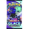 Booster Pokémon Règne de Glace (EB6)
